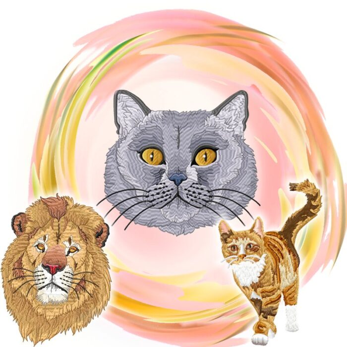 Cats & Felines