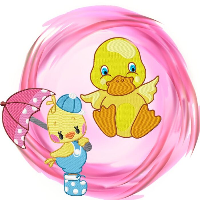 Duck