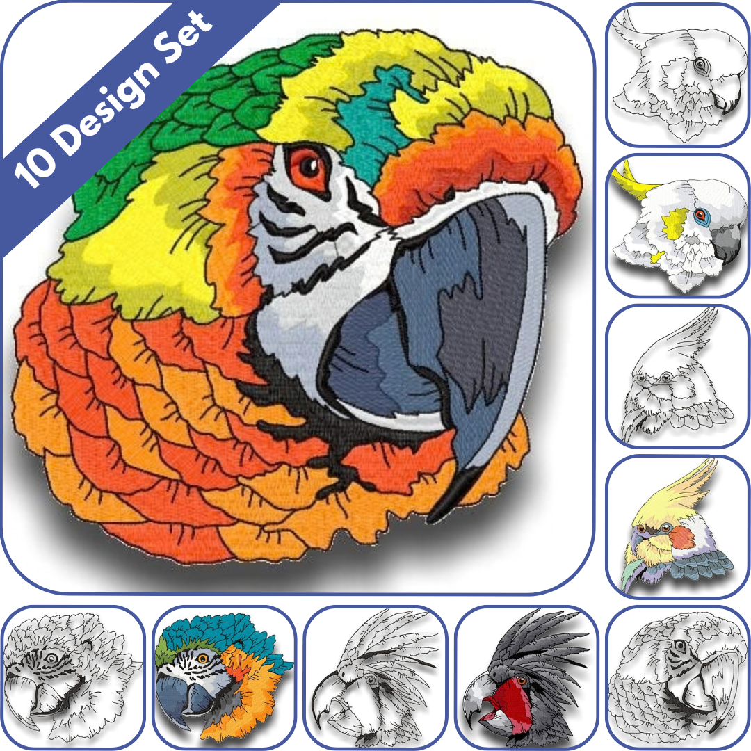Impressive Birds