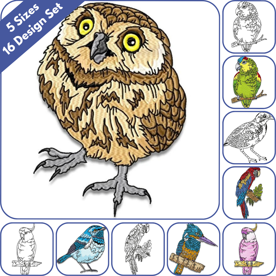Impressive Birds 2 Set