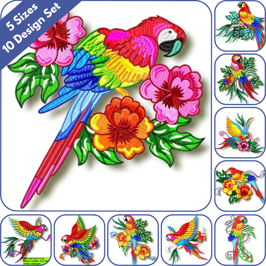 Stunning Parrots Set
