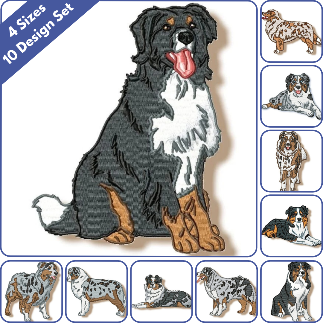 Australian Shepherd Realistic