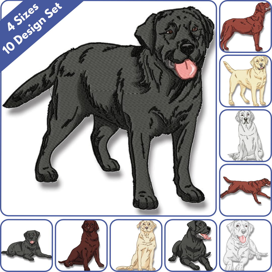 Labrador Realistic