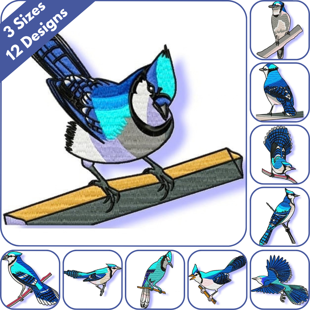 Blue Jay Set