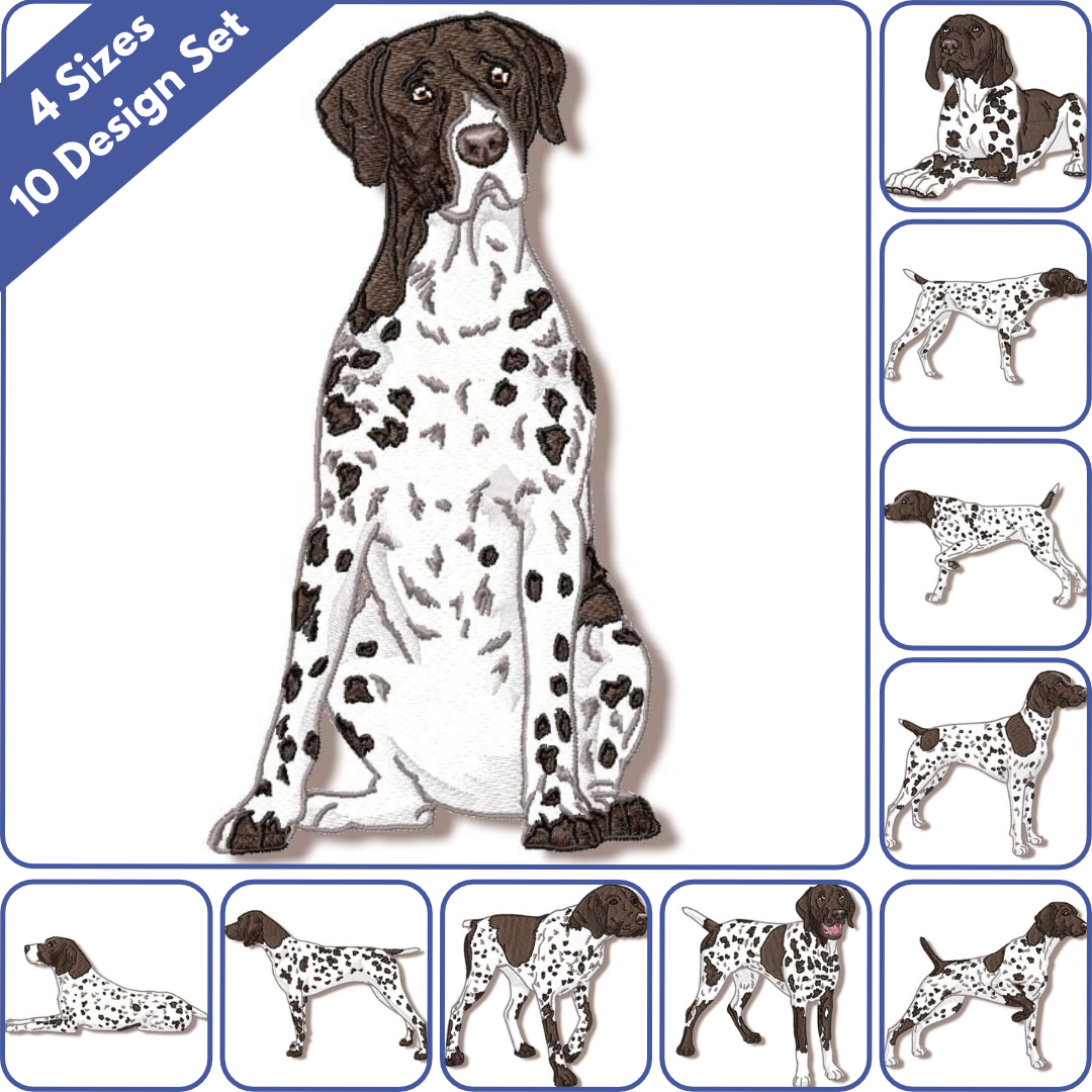 German Shorthaired Pointer Realistic
