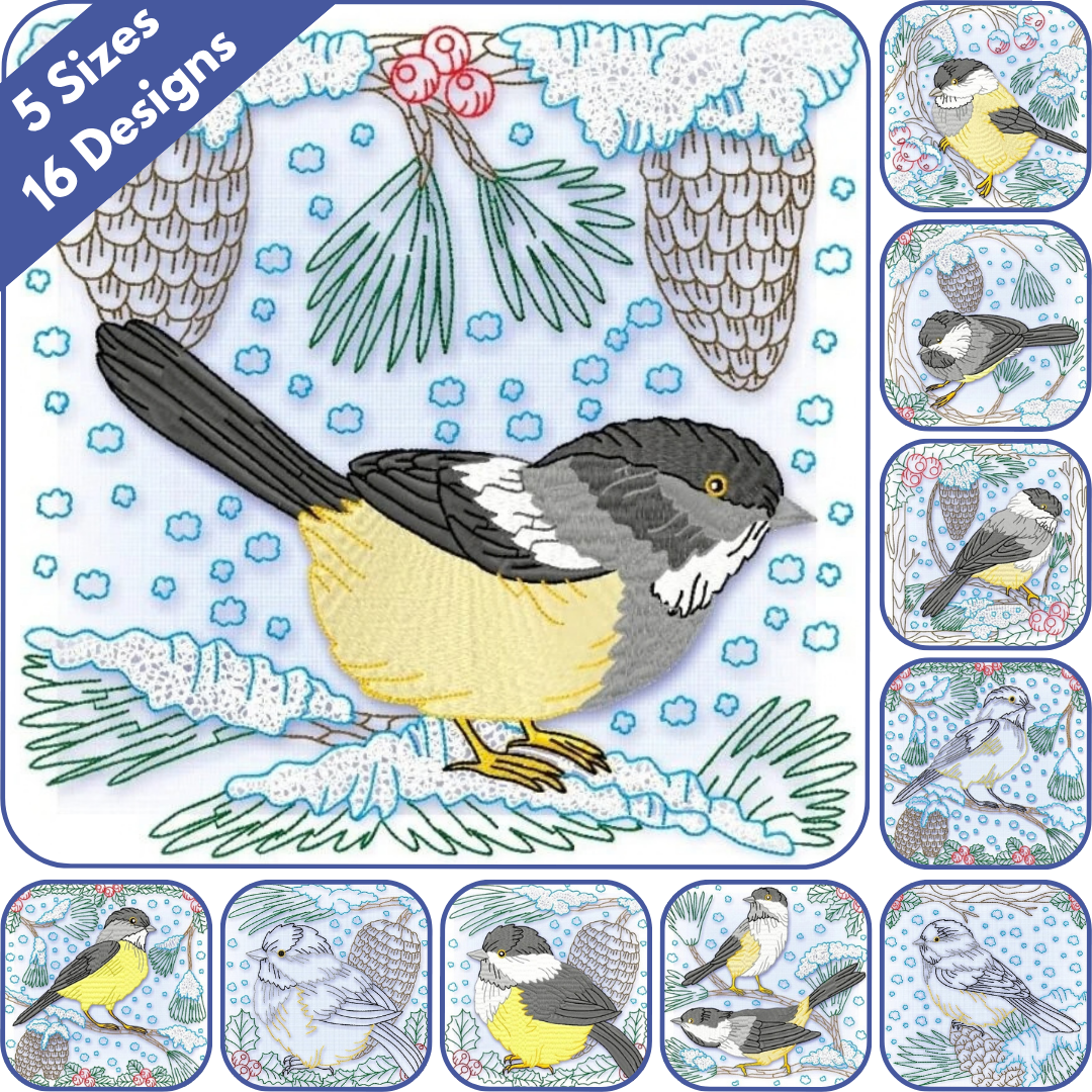 Yellow Belly Tit Bird