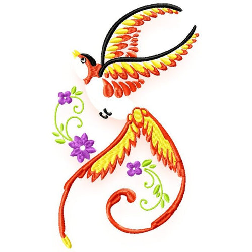 Beautiful Birds