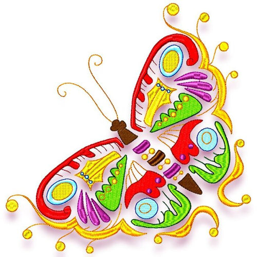 Beautiful Coloured Butterflies