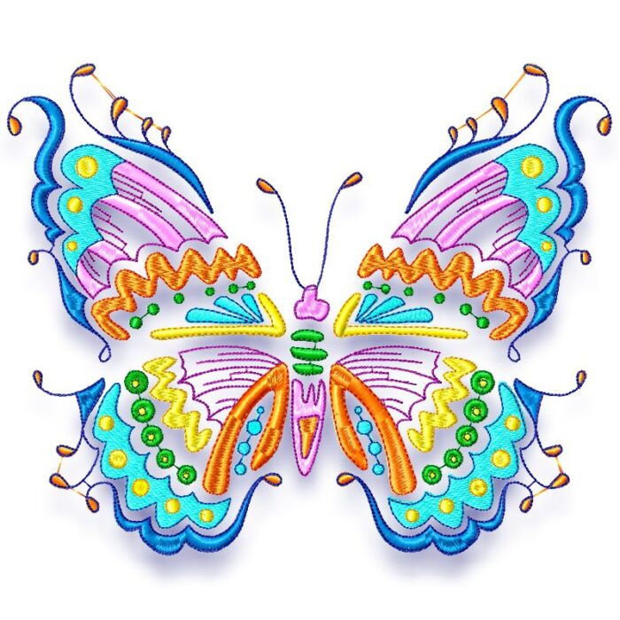 Beautiful Coloured Butterflies