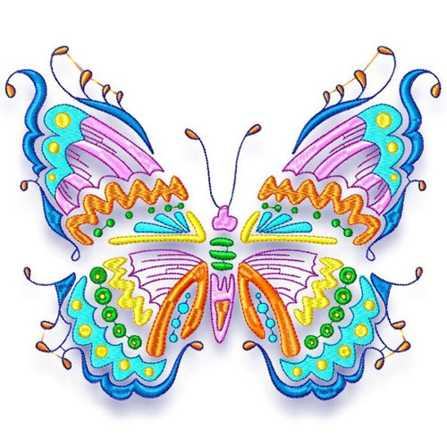 Beautiful Coloured Butterflies