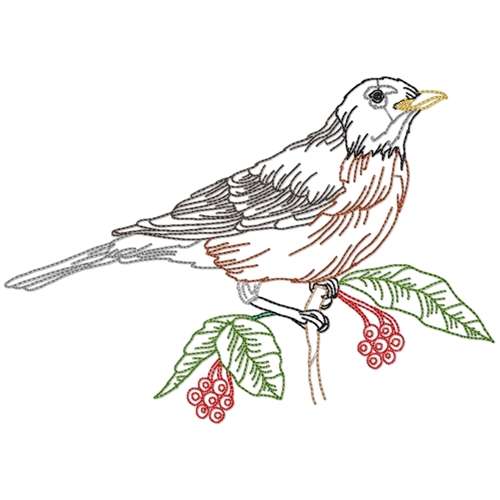 Black Birds Line Work