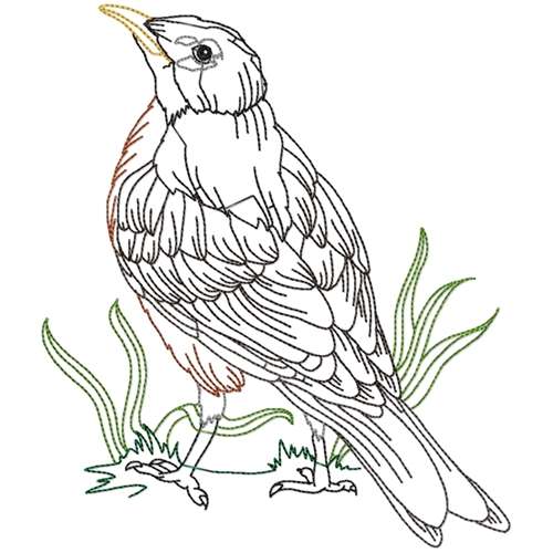 Black Birds Line Work