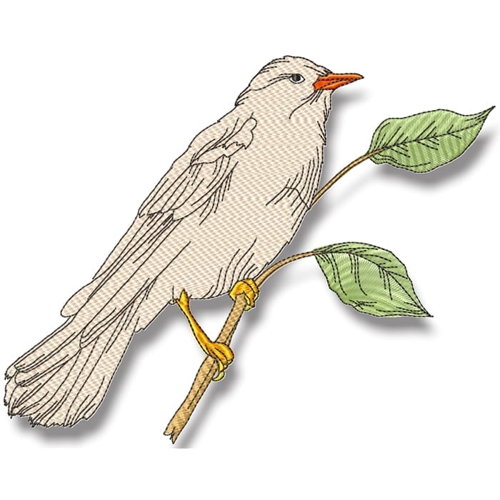 Birds Line work no two