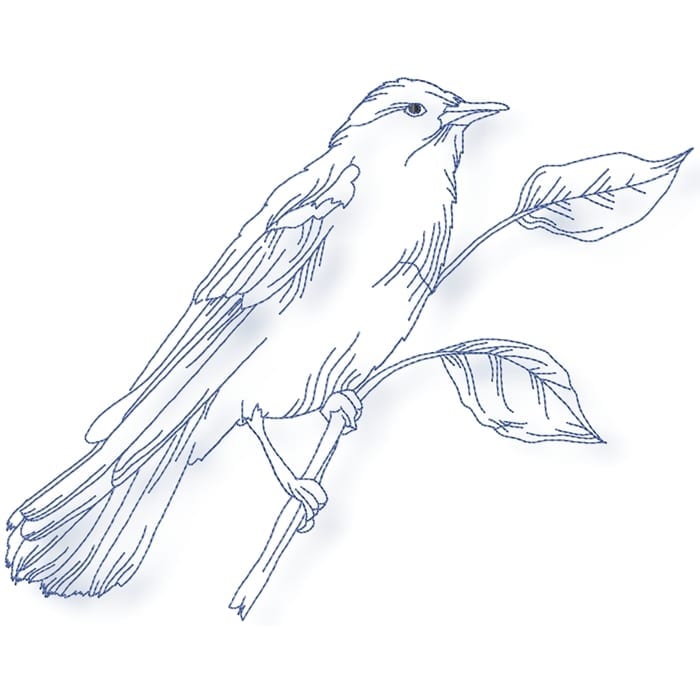Birds Line work no two