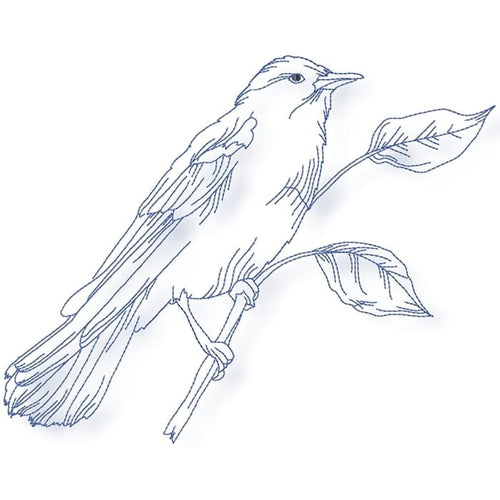 Birds Line work no two