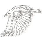 Birds Line work no two