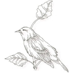 Birds Line work no two