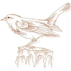 Birds Line work no two