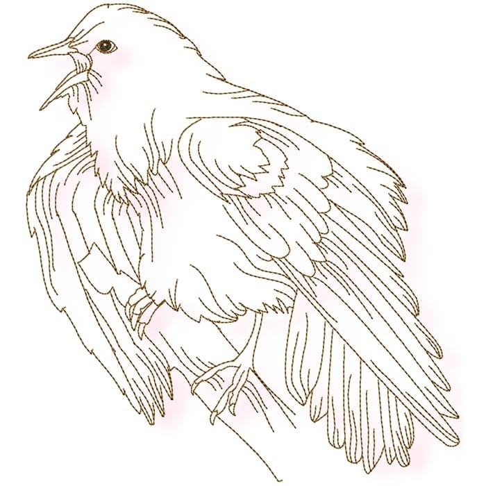 Birds Line work no two