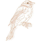 Birds Line work no two