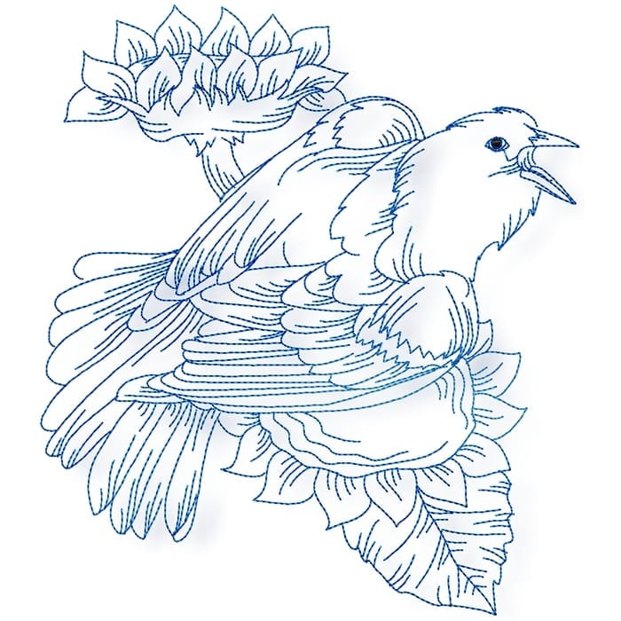 Birds Line work no two