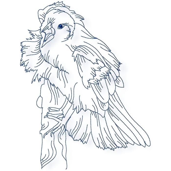 Birds Line work no two