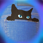 black cats