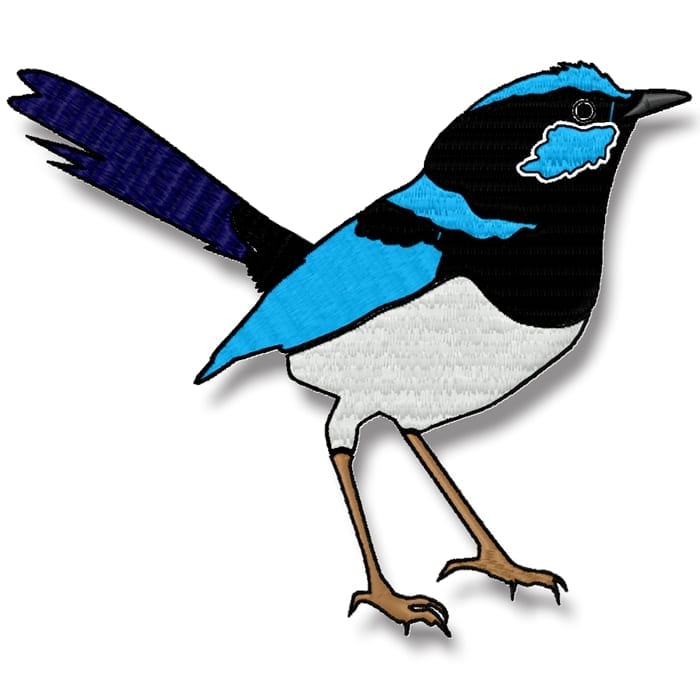 Blue Wren