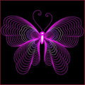 Butterflies Linework
