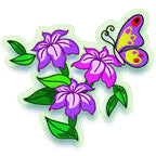 Butterfly on Flowers