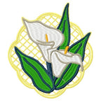 Calla Lilies