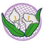 Calla Lilies