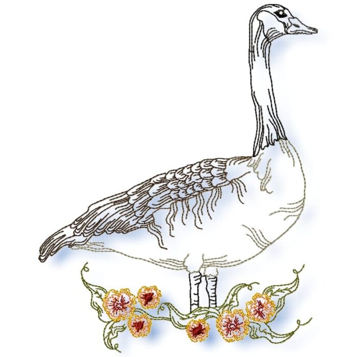 Canadian Geese