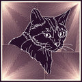 Cat Reversed Silhouette