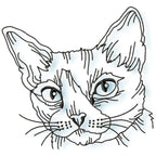cats satin outline