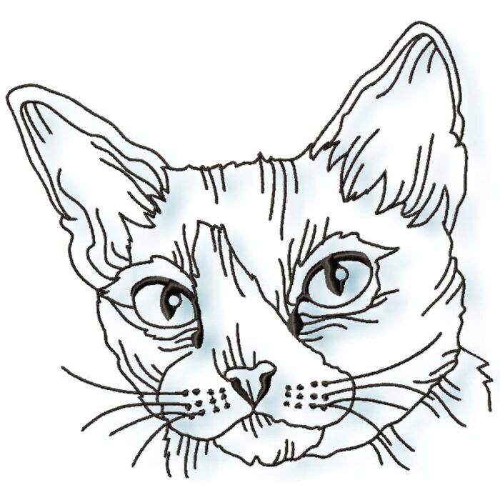 cats satin outline