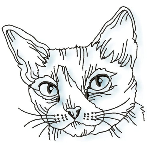 cats satin outline