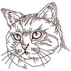 Cats Satin Outline