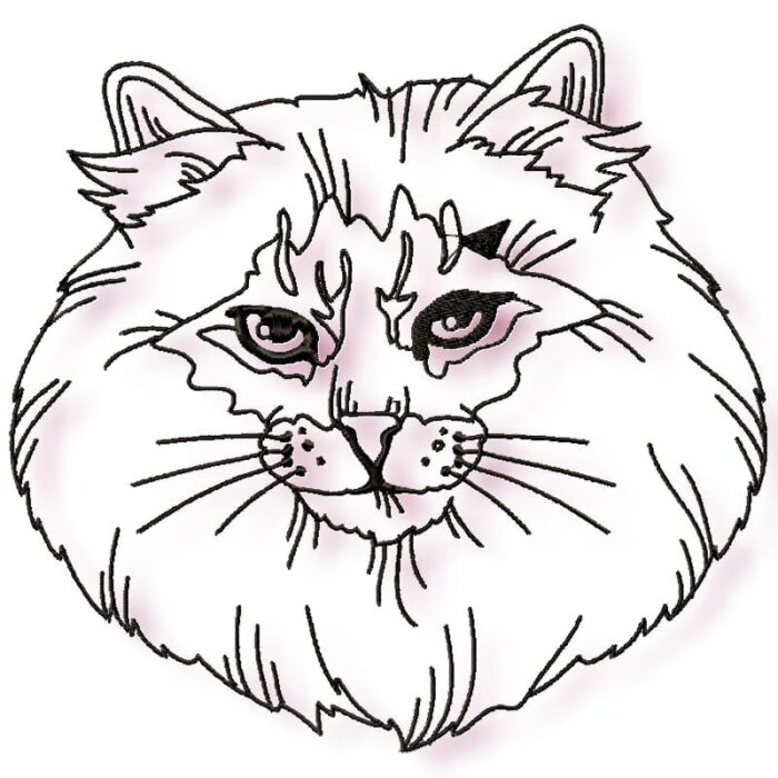 Cats Satin Line Work