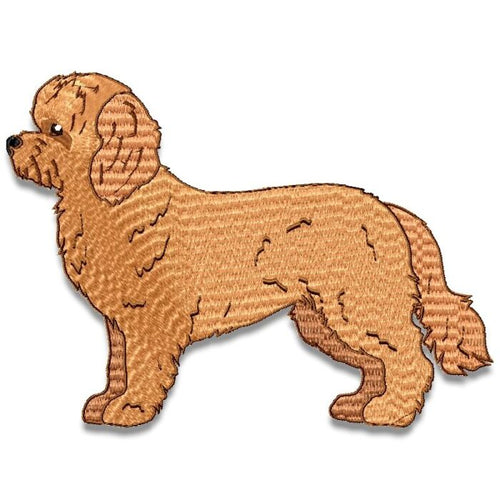 Cavapoo or Cavoodle Realistic