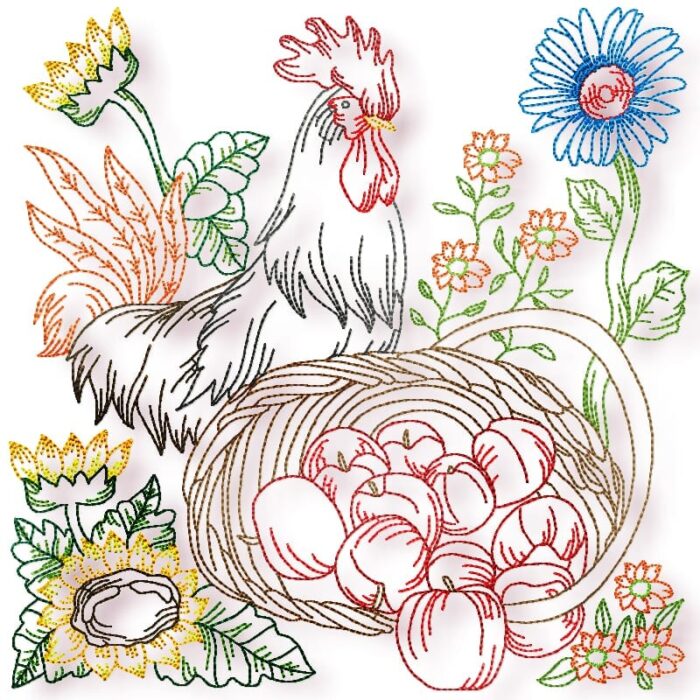 Chickens Colour line