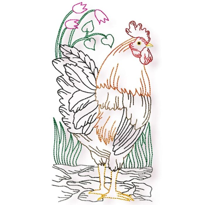 Chickens Colour line