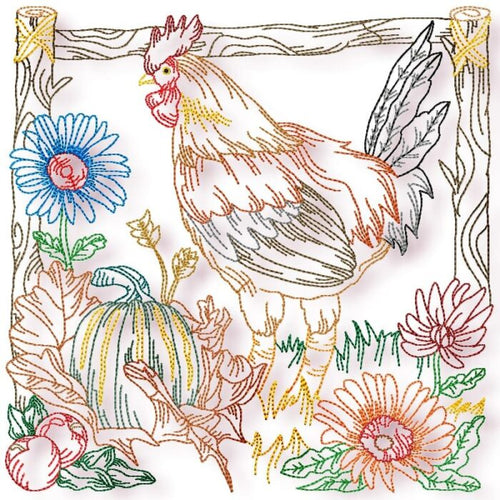 Chickens Colour line