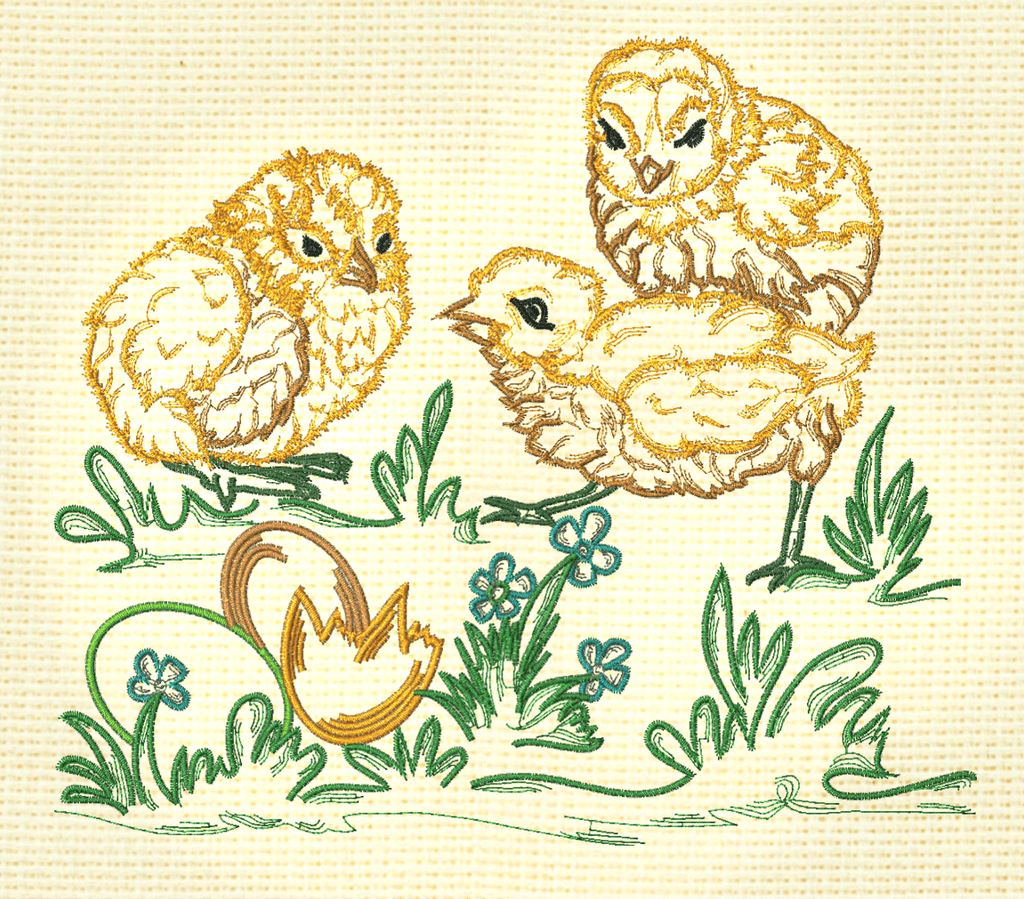 Chickens Fancy Colour Line