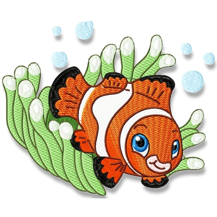 Clive Clown Fish