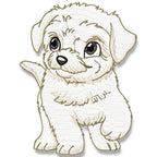 Cute Baby Bichon Frise