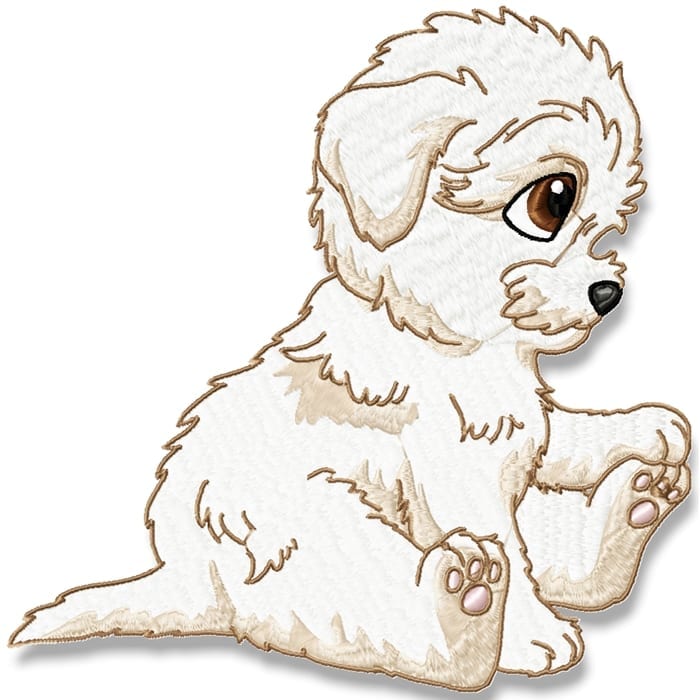 Cute Baby Bichon Frise machine embroidery