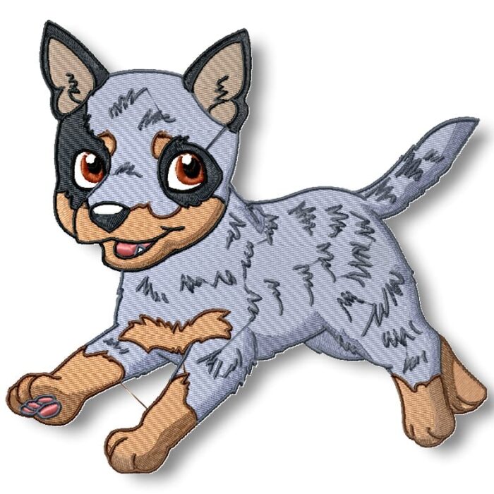 Cute Baby Blue Heelers