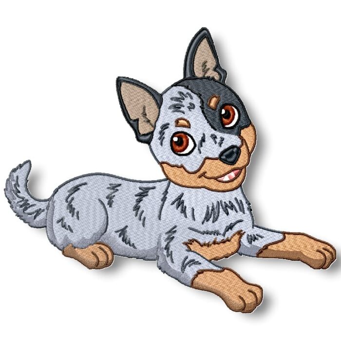Cute Baby Blue Heelers