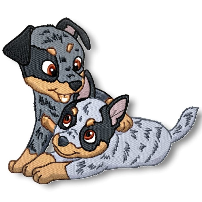 Cute Baby Blue Heelers